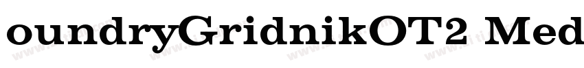oundryGridnikOT2 Med字体转换